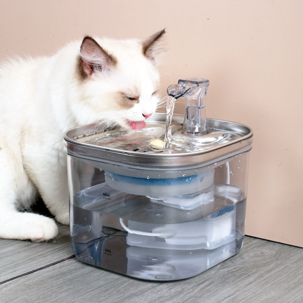 Gatto che usa la fontanella automatica in acciaio inox