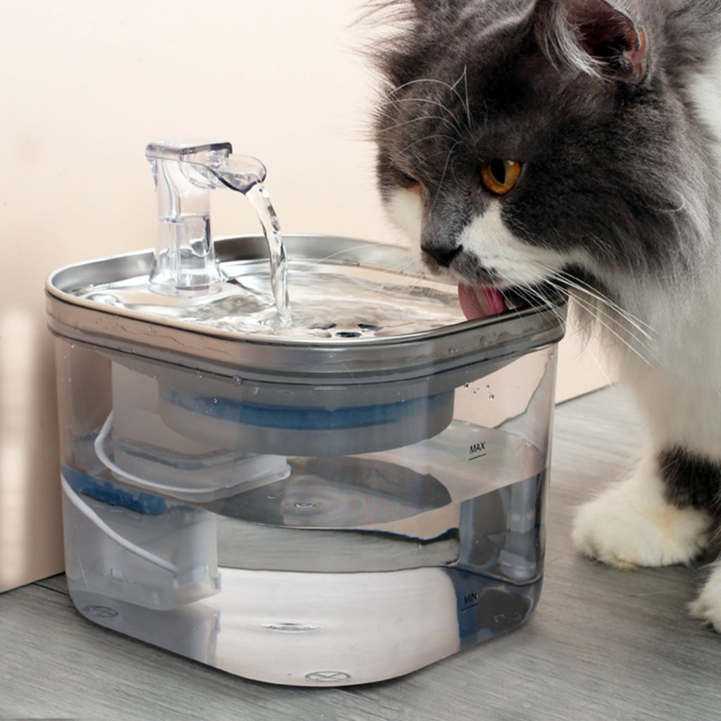Gatto che usa la fontanella automatica in acciaio inox