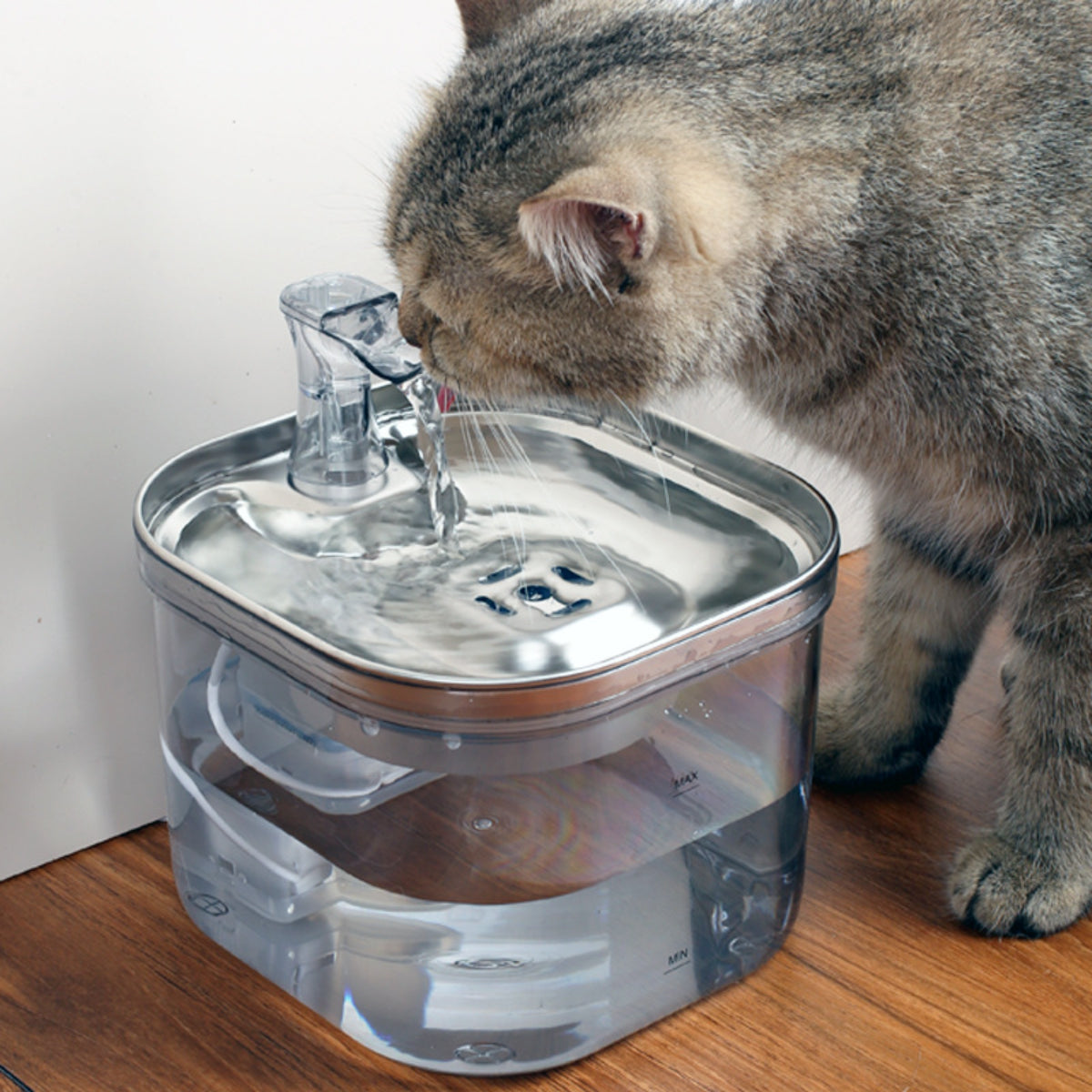 Gatto che usa la fontanella automatica in acciaio inox