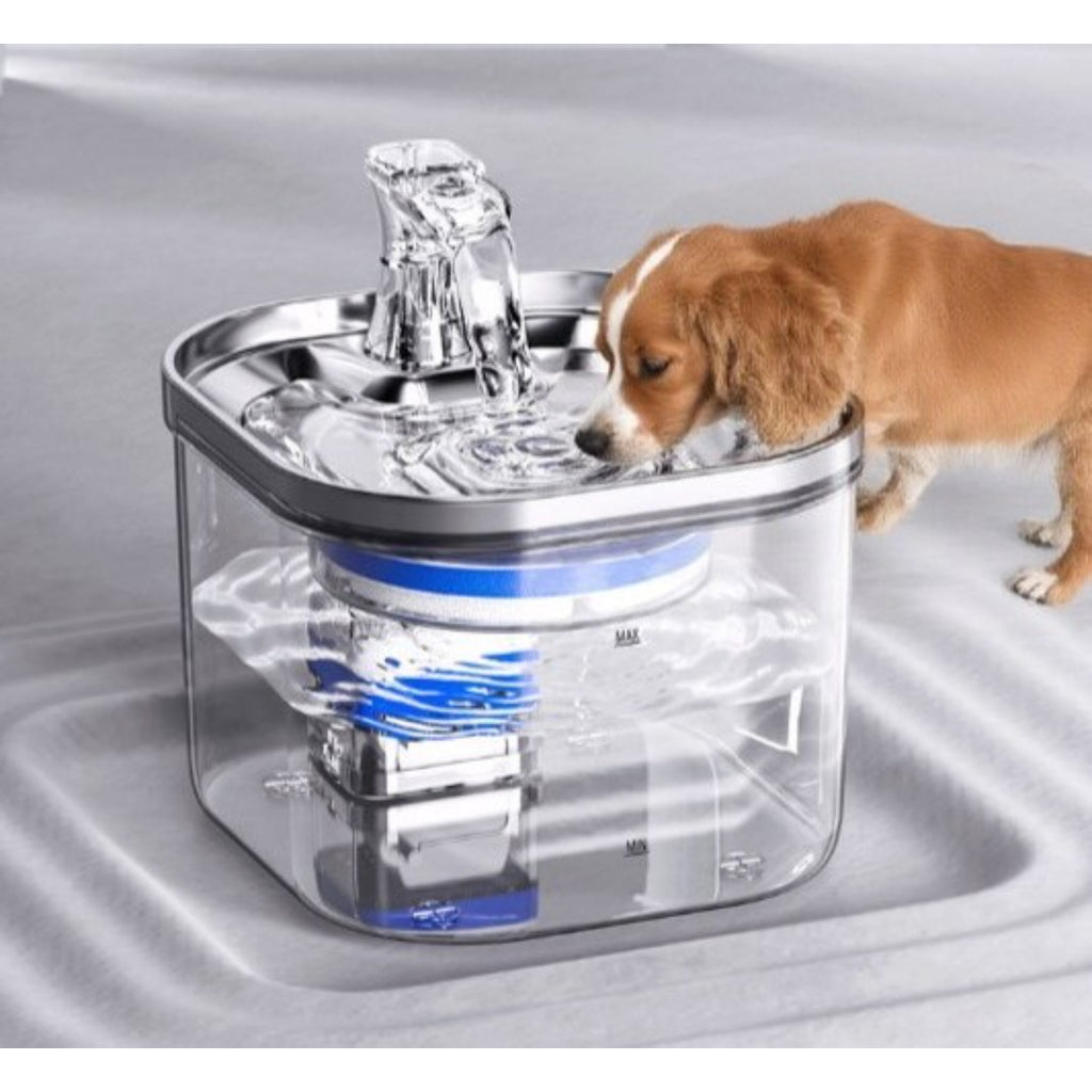 Cane che beve acqua fresca dalla fontanella automatica